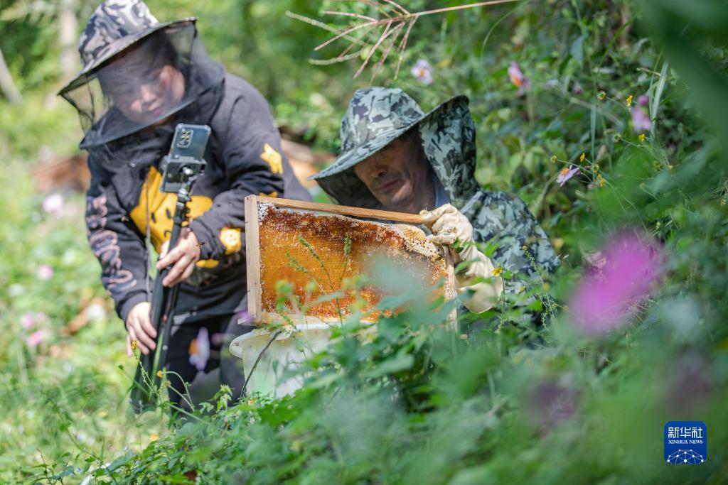免费领彩金网站